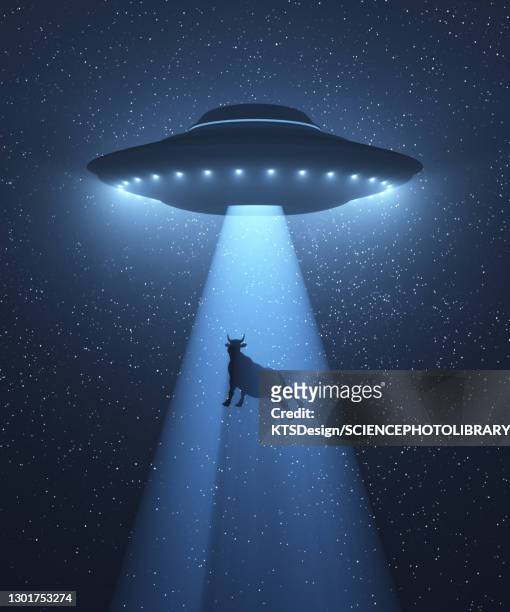 ufo beaming up cow, illustration - flying saucer stock illustrations