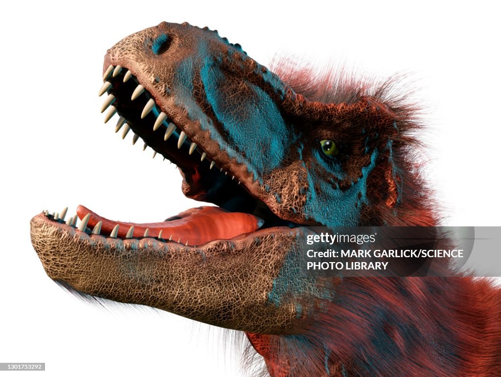 T Rex Rizers T Rex Head