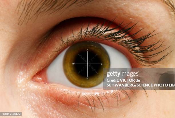 human eye and compass, conceptual composite image - human iris stock illustrations
