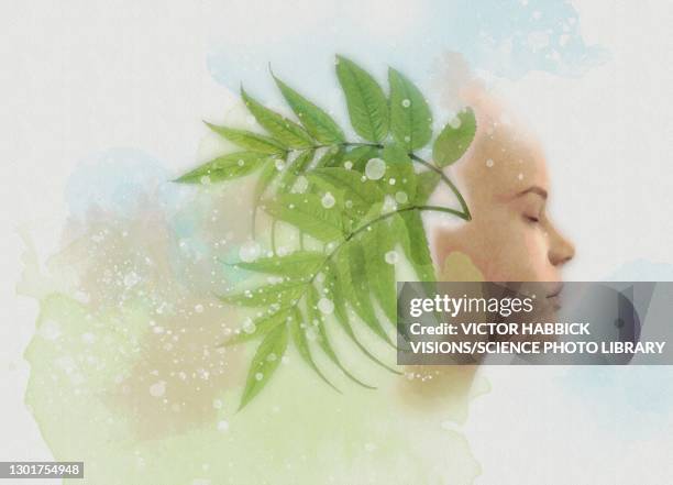 relaxation, conceptual illustration - forest bathing stock illustrations