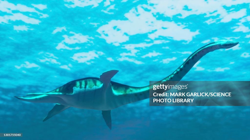 Artwork of a plesiosaur