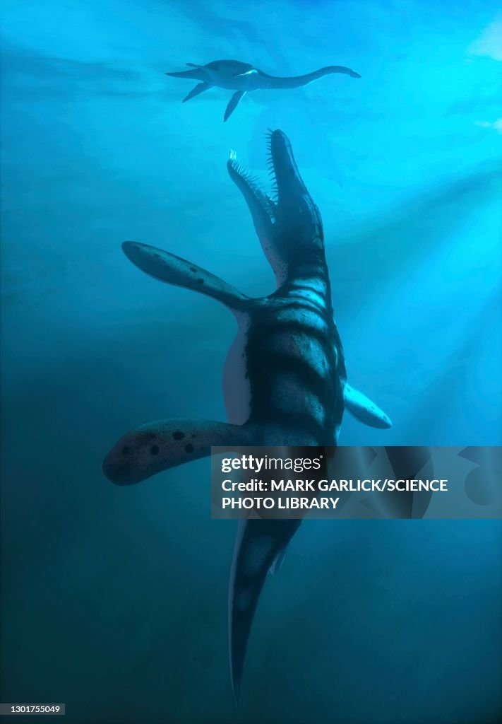Artwork of marine reptile liopleurodon