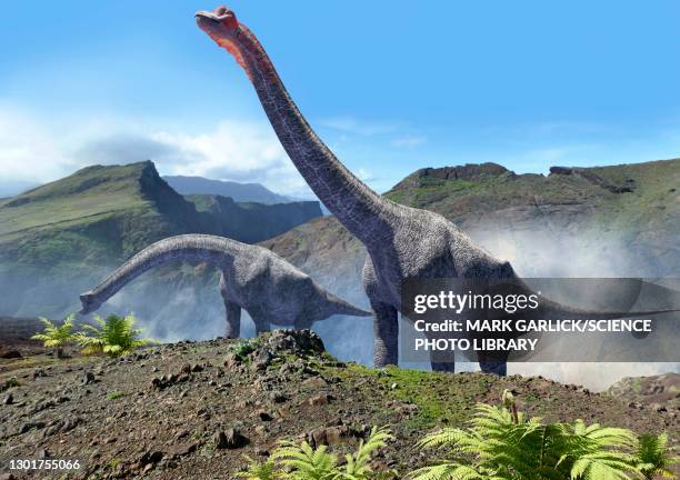 stockillustraties, clipart, cartoons en iconen met artwork of a pair of brachiosaurus - male female pair