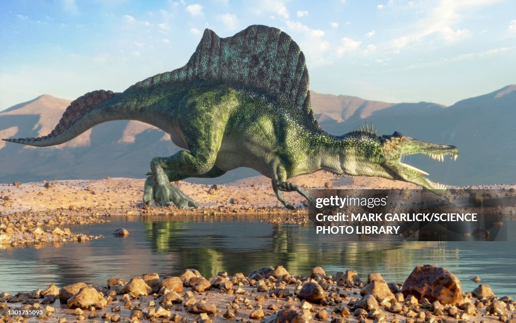 Modern reconstruction of spinosaurus
