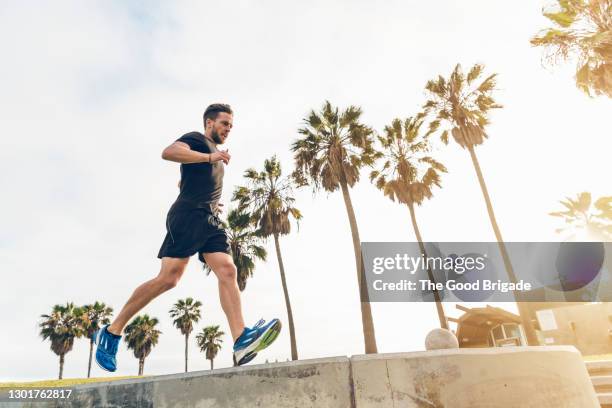 athletic man running against palm tress on sunny day - active lifestyle los angeles stock pictures, royalty-free photos & images