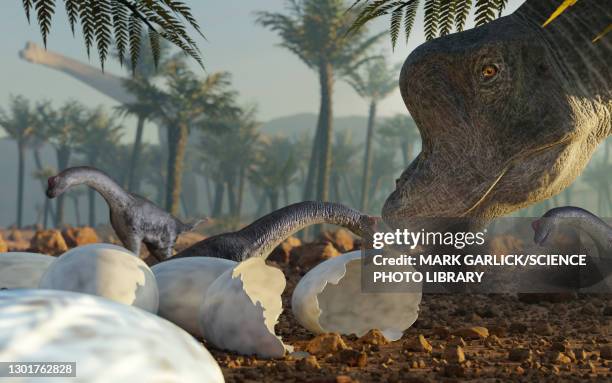 brachiosaurus dinosaur with young, illustration - paläozoologie stock-grafiken, -clipart, -cartoons und -symbole