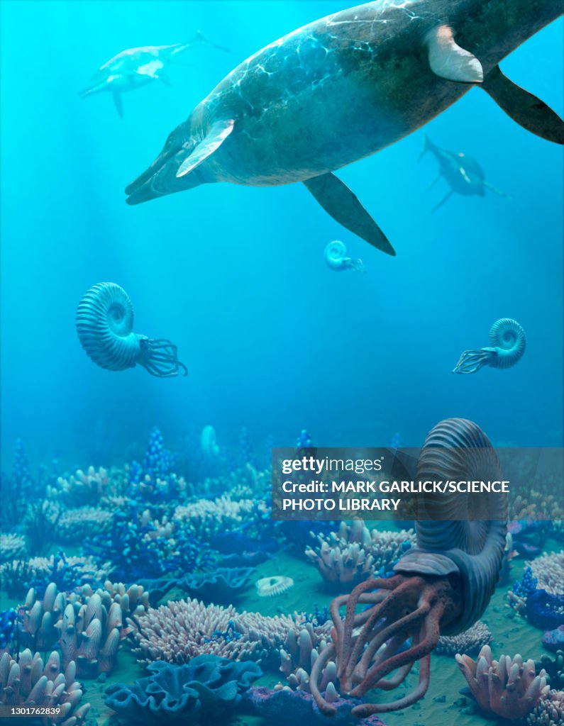 Triassic sea, illustration