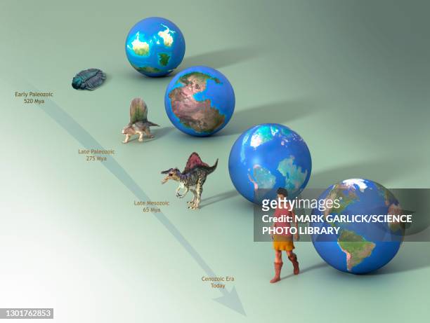 geological time scale, illustration - vertebrate evolution stock illustrations
