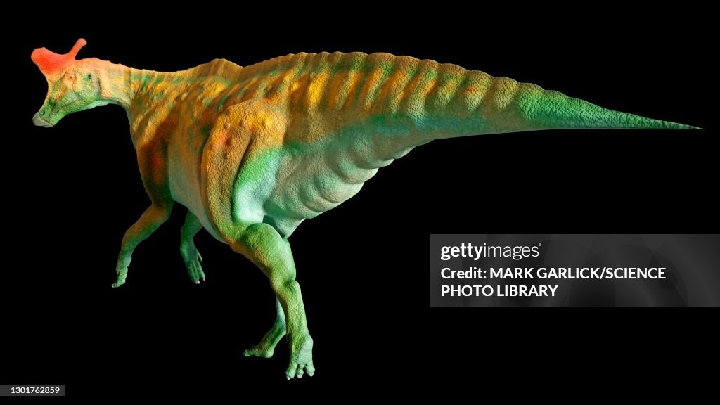 Artwork of the dinosaur Lambeosaurus