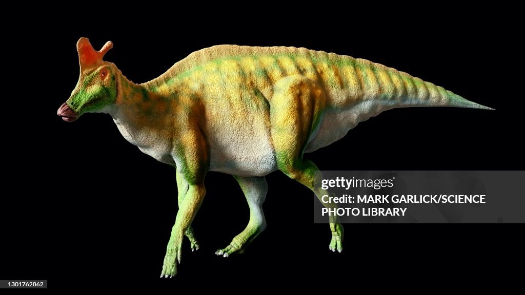 Artwork of the dinosaur Lambeosaurus