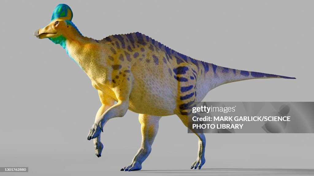 Artwork of a corythosaurus dinosaur