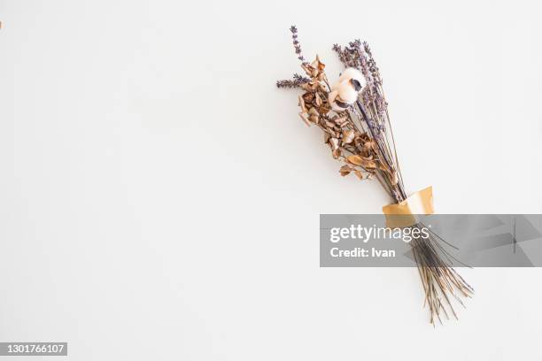 dried flower bouquet on white background - gypsophila stock pictures, royalty-free photos & images