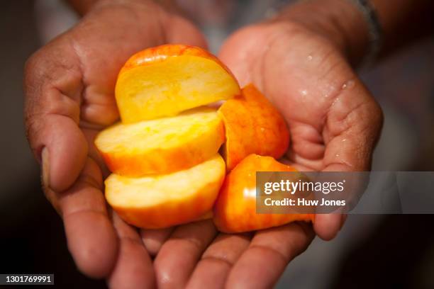 sliced cashew fruit or cashew apple in hands - cashewnuss stock-fotos und bilder