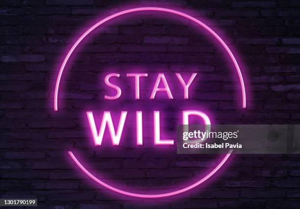 stay wild sign in neon lights - wilderness font stock pictures, royalty-free photos & images