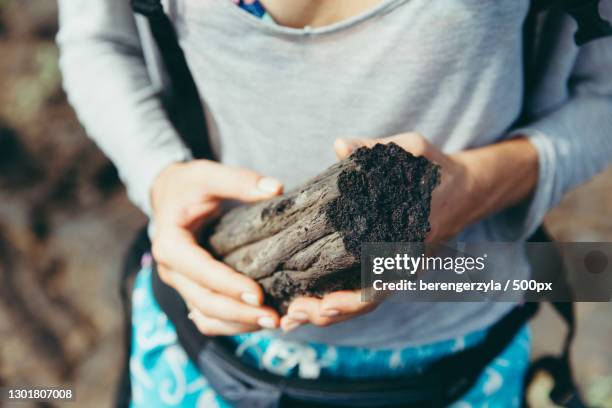 midsection of woman holding wood,ocean view,hawaii,united states,usa - hawaii souvenir stock pictures, royalty-free photos & images