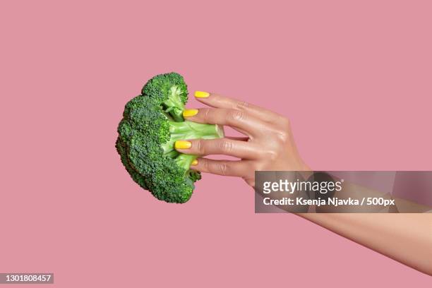 cropped hand of woman holding broccoli against pink background,kyiv,ukraine - brócolis - fotografias e filmes do acervo