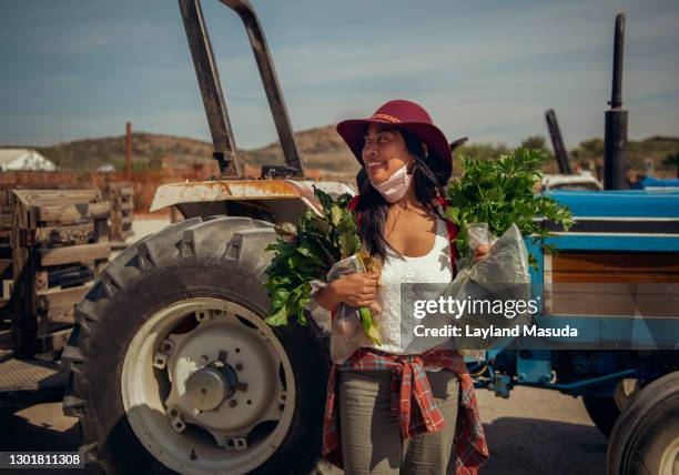 farm woman collecting vegetables for dinner - farm workers california bildbanksfoton och bilder