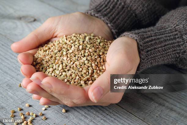 green buckwheat is poured into the girl's palm, against the background of a wooden table. the woman holds in the hands of a non-roasted buckwheat for sprouting. - buchweizen stock-fotos und bilder