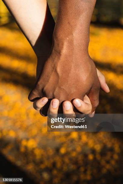 multi-ethnic couple holding hands at park - intertwined stock pictures, royalty-free photos & images