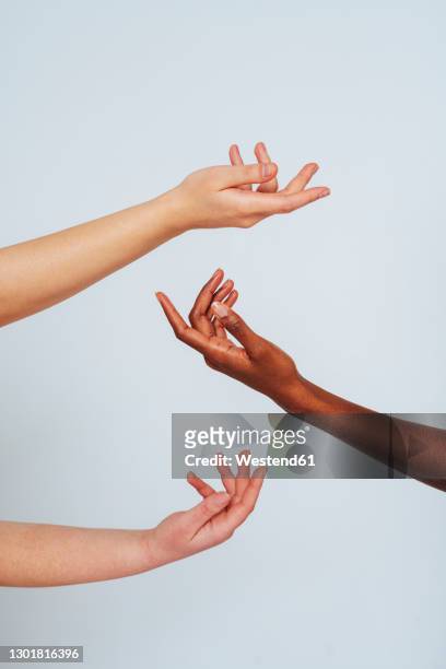 women stretching hands toward each other against white background - hand fotografías e imágenes de stock