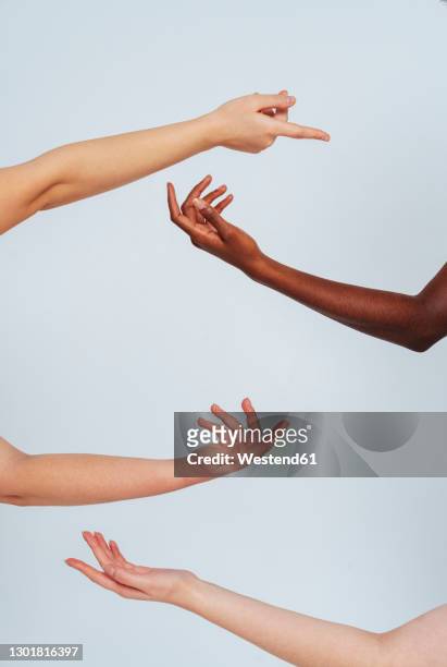 woman gesturing toward each other against white background - four people stock-fotos und bilder