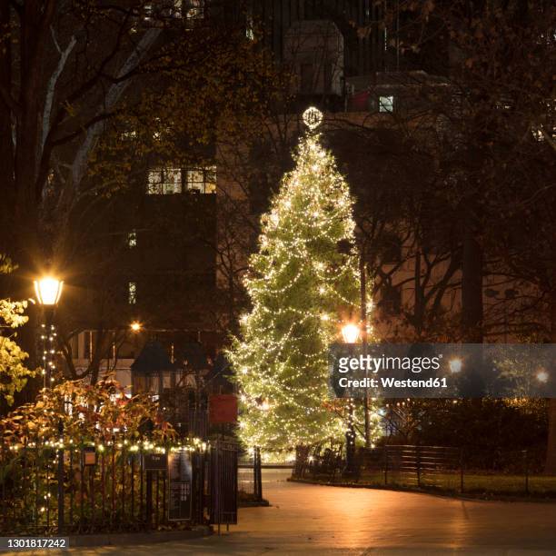 usa, new york, new york city, christmas tree illuminated at night in madison square park - madison square park stock-fotos und bilder