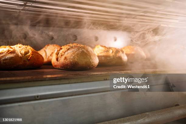 breads in oven at bakery - bakery bread stock pictures, royalty-free photos & images