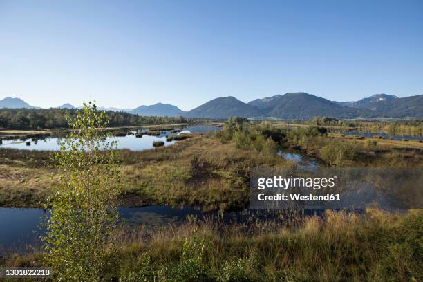 germany, bayern, chiemgau, moor landscape in front of alps - moor stock pictures, royalty-free photos & images