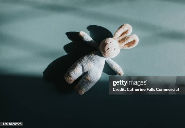 small toy bunny - ours en peluche photos et images de collection