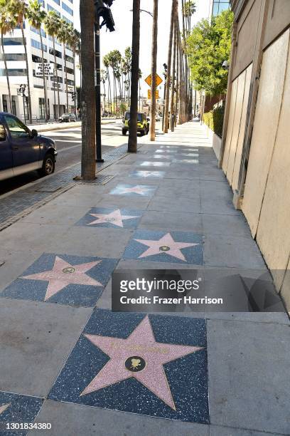 View of Ryan O'Neal and Ali MacGraw's stars on the Hollywood Walk of Fame on February 12, 2021 in Hollywood, California. The Hollywood Chamber of...