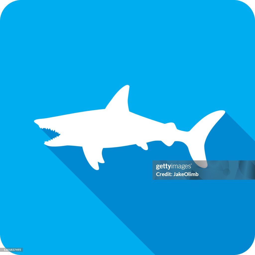 Shark Icon Silhouette 3