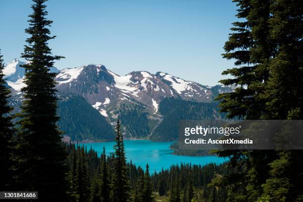 garibaldi lake in whistler - whistler village stock pictures, royalty-free photos & images