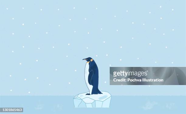 ein pinguin, der auf dem gletscher steht - pinguine stock-grafiken, -clipart, -cartoons und -symbole