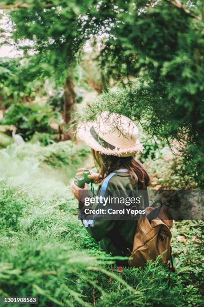 safari girl in forest - girl guide association stock pictures, royalty-free photos & images