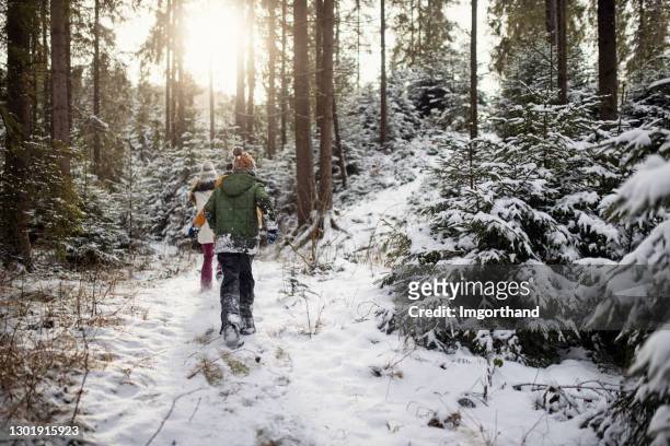 kinder erkunden schönen wald im winter - face snow stock-fotos und bilder