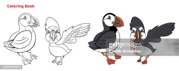 cute atlantic puffin coloring book - puffin stock illustrations