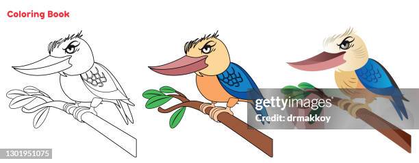 süße kookaburra malbuch - kookaburra stock-grafiken, -clipart, -cartoons und -symbole