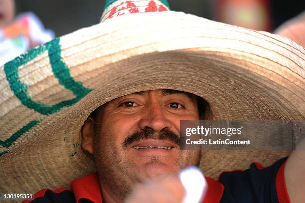 Supporter of Mexico during the Men's 20 km in the 2011 XVI Pan American Games at Pan Amercian Race Walk Circuit on October 23, 2011 in Guadalajara,...