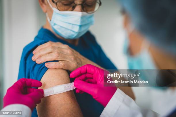 doctor giving first aid bandage after vaccination to senior woman - vacuna fotografías e imágenes de stock