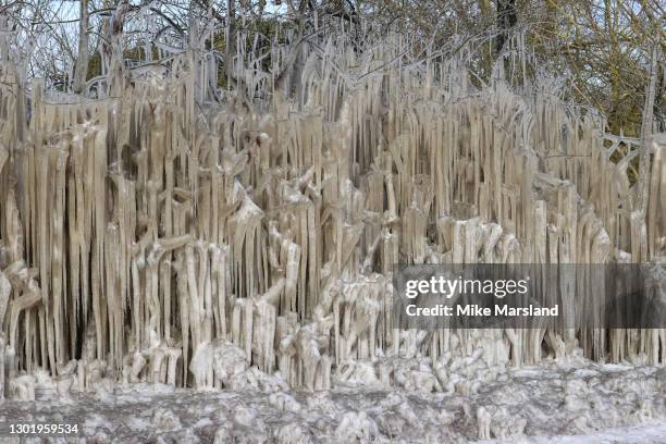 Flooding and freezing temperatures have caused trees in a small section of road between St Albans and Hatfield to resemble an ice sculpture on...