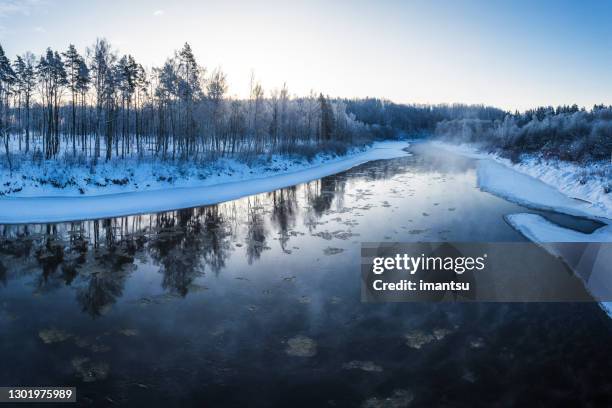 winter in gauja nationalpark, lettland - latvia stock-fotos und bilder