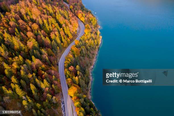 coastal road on turquoise lake in autumn - sylvenstein lake bildbanksfoton och bilder