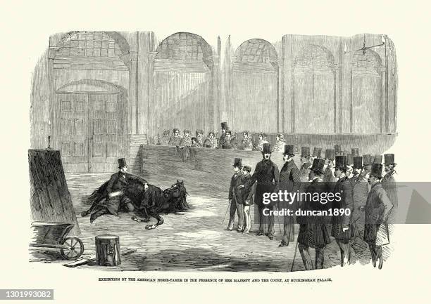 american horse tamer performing for queen victoria, buckingham palace, 1858 - buckingham palace illustration stock illustrations