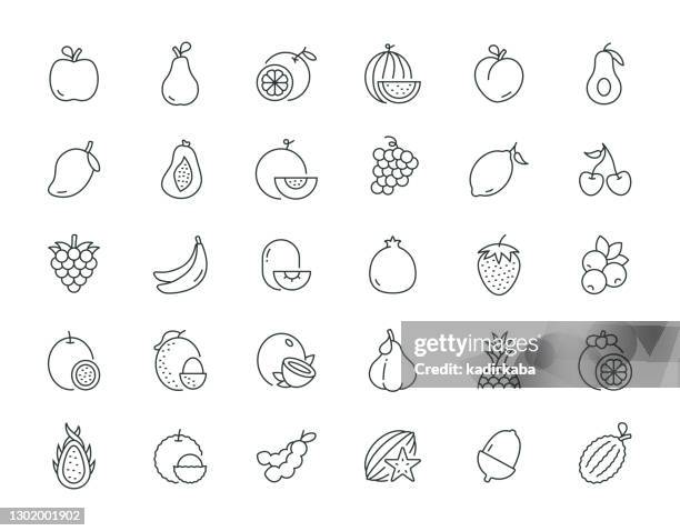 fruits thin line serie - papaya stock-grafiken, -clipart, -cartoons und -symbole