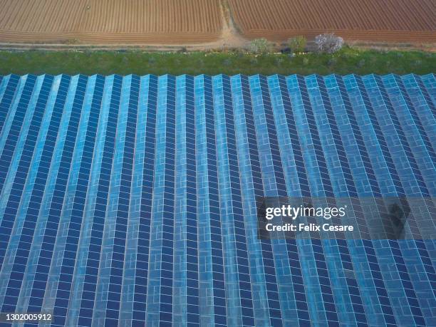 aerial view of solar panels on greenhouse rooftops. sustainable agriculture business. - modern malta stock pictures, royalty-free photos & images