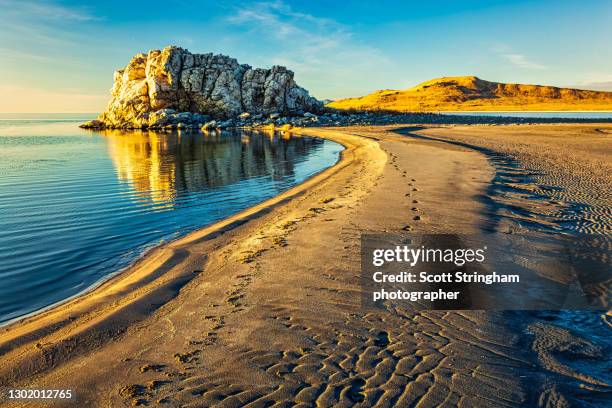 foot prints - ilha de antelope imagens e fotografias de stock