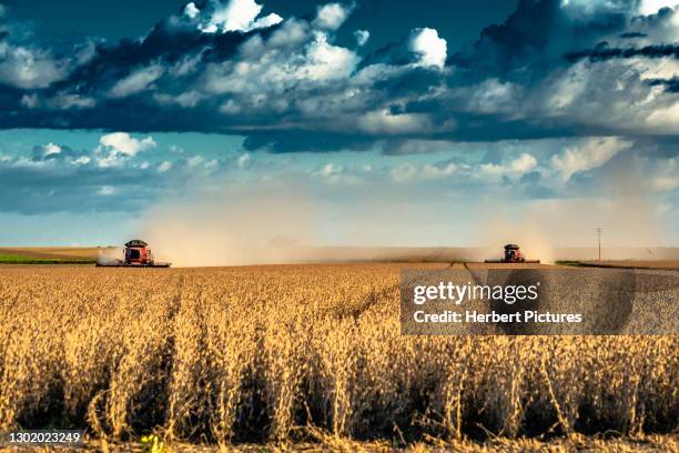 agronegocios: cosecha de soja, agricultura - máquina agrícola harverster - agronegocio: cosecha de soja, máquina cosechadora agrícola. - farm field combine fotografías e imágenes de stock