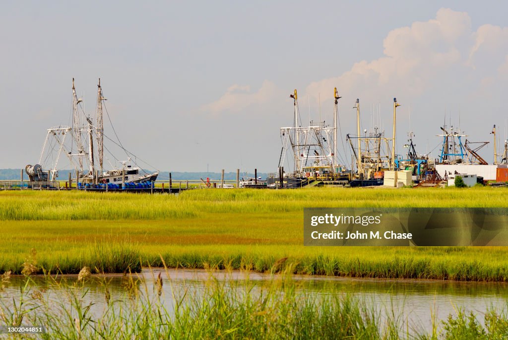 Commercial Fishing Boats, Tidal Marsh, Cape May, NJ