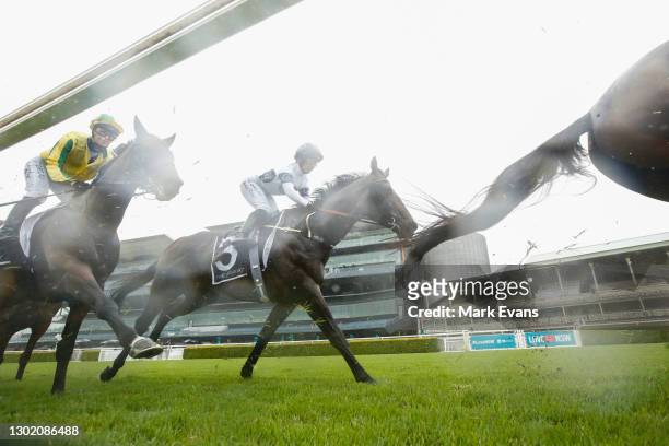 Horses and riders run in the rain during Sydney Racing at Royal Randwick Racecourse on February 13, 2021 in Sydney, Australia.