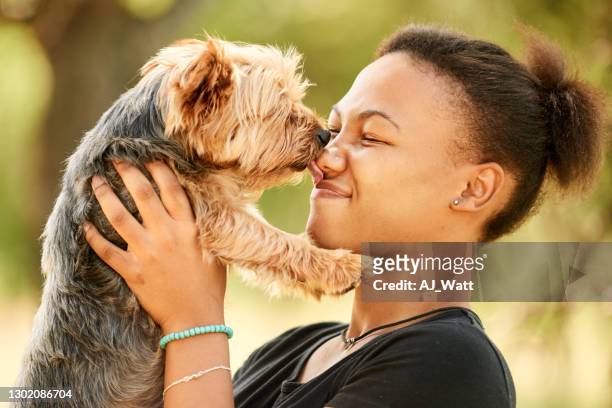 cute little dog licking its owner's face outside in summer - dog licking girls stock pictures, royalty-free photos & images